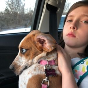 Meet your Posher, Charlie